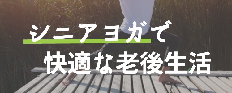 cook 今日なに作ろ？